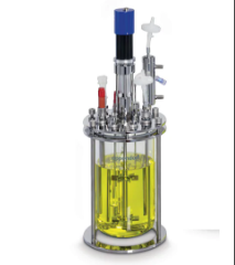 德國艾本德Eppendorf,DASGIP? 罐體DR03F,平葉槳,L型氣體分布器,750mL-?2.7L,頂部驅動(dòng),Rushton-type impeller