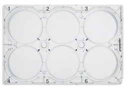 德國艾本德(Eppendorf)Cell Culture Plates,6-Well,無(wú)菌無(wú)熱原,無(wú)RNase和DNase,無(wú)人類(lèi)和細菌DNA,無(wú)細胞毒素,未處理,5mL,60塊,獨立包裝