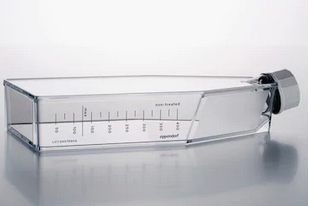 德國艾本德(Eppendorf)Cell Culture FlasksT-175,無(wú)菌無(wú)熱原,無(wú)RNase和DNase,無(wú)人類(lèi)和細菌DNA,無(wú)細胞毒素,帶濾膜透氣蓋,TC處理,30.0mL