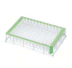德國艾本德Eppendorf,Deepwell Plate 96/500μL,孔透明,500μL,無(wú)菌,綠色,40塊(5包×8塊)