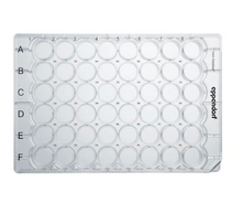 德國艾本德(Eppendorf)Cell Culture Plates,48-Well,無(wú)菌無(wú)熱原,無(wú)RNase和DNase,無(wú)人類(lèi)和細菌DNA,無(wú)細胞毒素,未處理,0.5mL,60塊,獨立包裝
