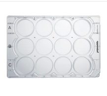 德國艾本德(Eppendorf)Cell Culture Plates,12-Well,無(wú)菌無(wú)熱原,無(wú)RNase和DNase,無(wú)人類(lèi)和細菌DNA,無(wú)細胞毒素,未處理,2mL,60塊,獨立包裝